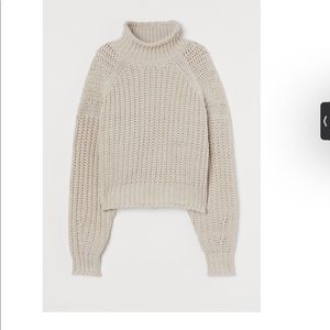 NWT Ribbed Turtleneck Sweater